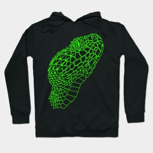 Bush viper (Atheris hispida) green Hoodie